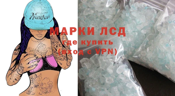 стаф Алексин