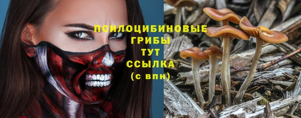 крисы Алзамай