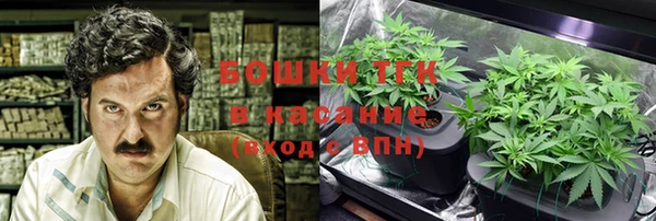 стаф Алексин