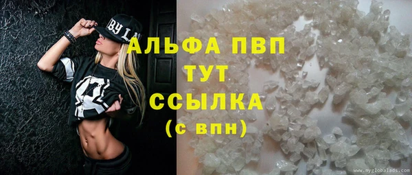 крисы Алзамай