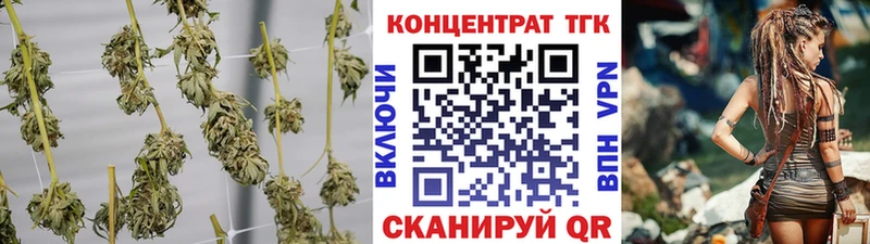 МЕГА зеркало Асино Дистиллят ТГК Wax