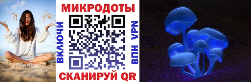 магазин продажи наркотиков  Асино  Галлюциногенные грибы GOLDEN TEACHER 